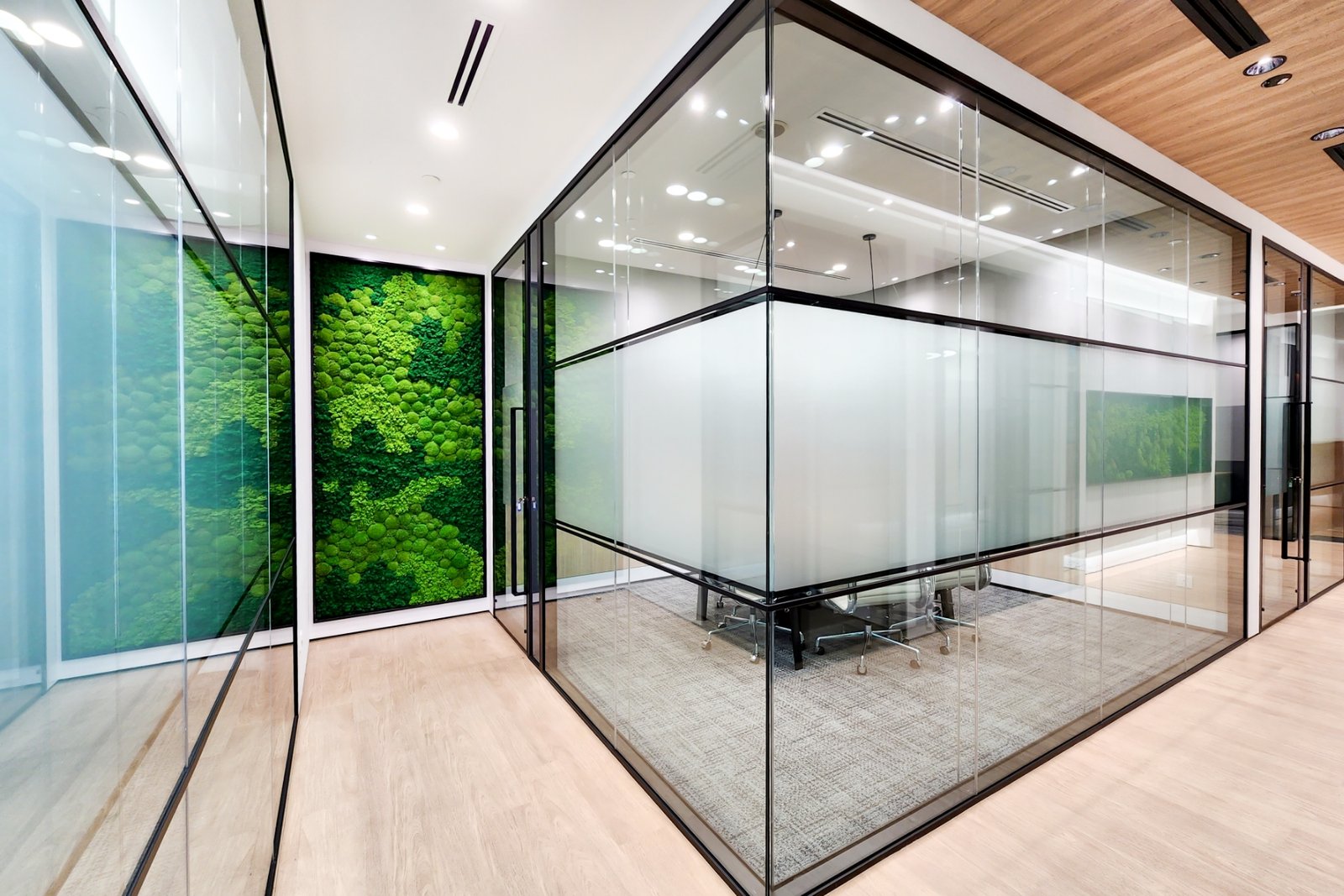 Glass Panels & Partitions