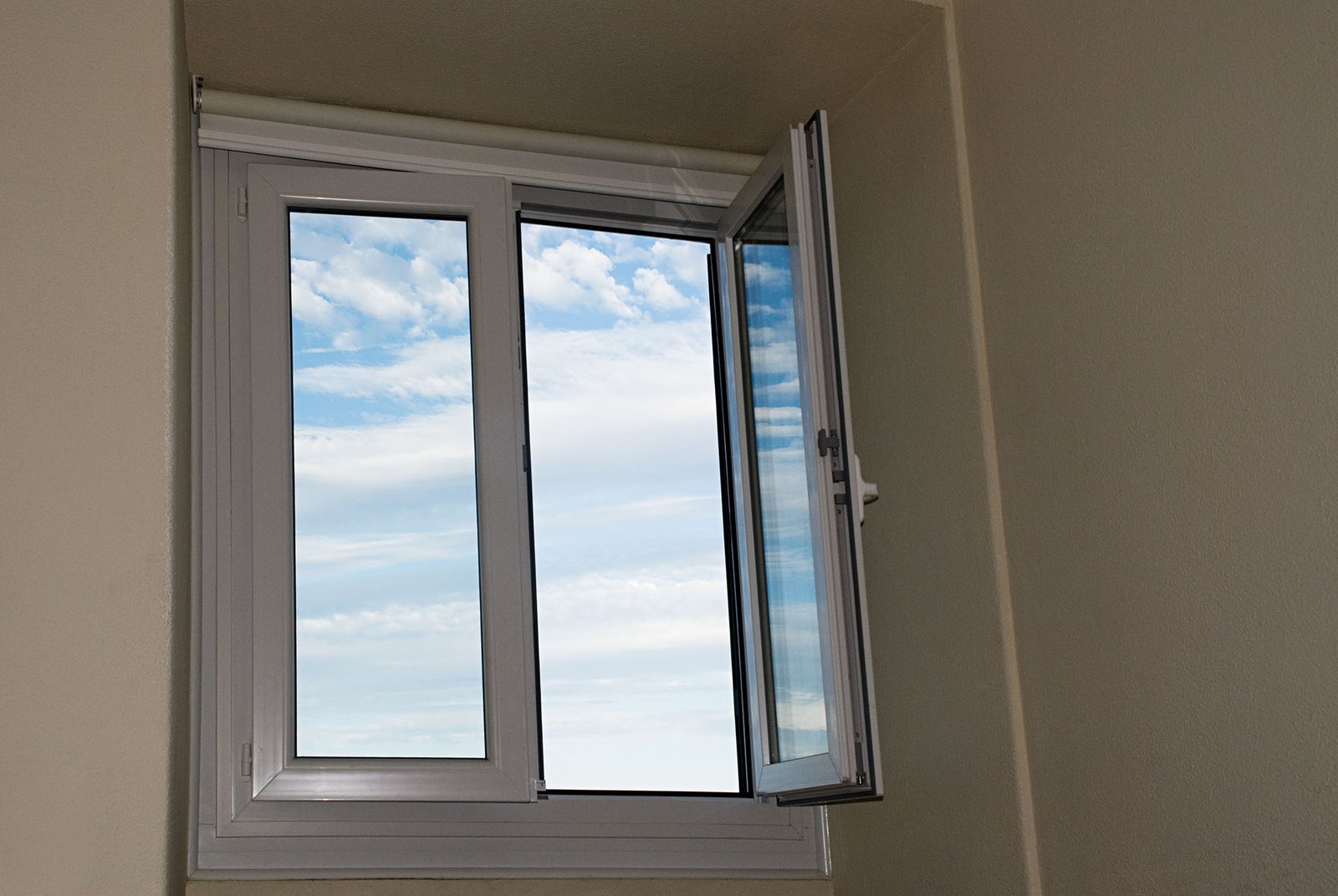 Window Styles